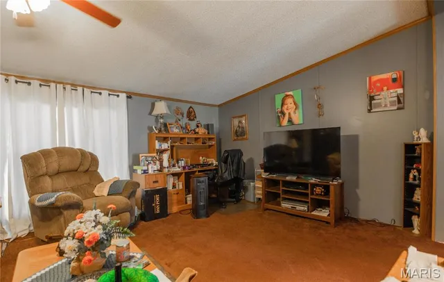 $160,000 | 5633 Missouri T, Puxico, MO 63960