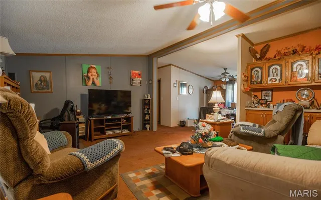 $160,000 | 5633 Missouri T, Puxico, MO 63960