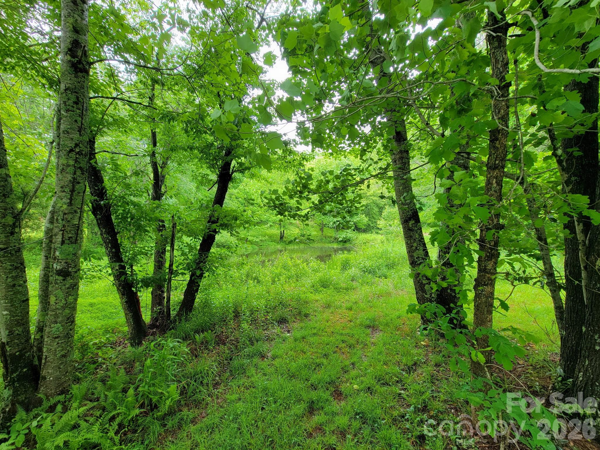 Tbd Sweetwater Rdg Road, Unit 1 Balsam Grove, NC 28708 - Photo 10 of 24 a view of an outdoor space