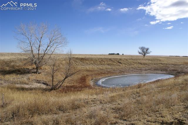 0 Jones Road Peyton, CO 80831 - Photo 6 of 9 Pond Is Located Near The NW Corner Of The Property Just Off JD Johnson Rd