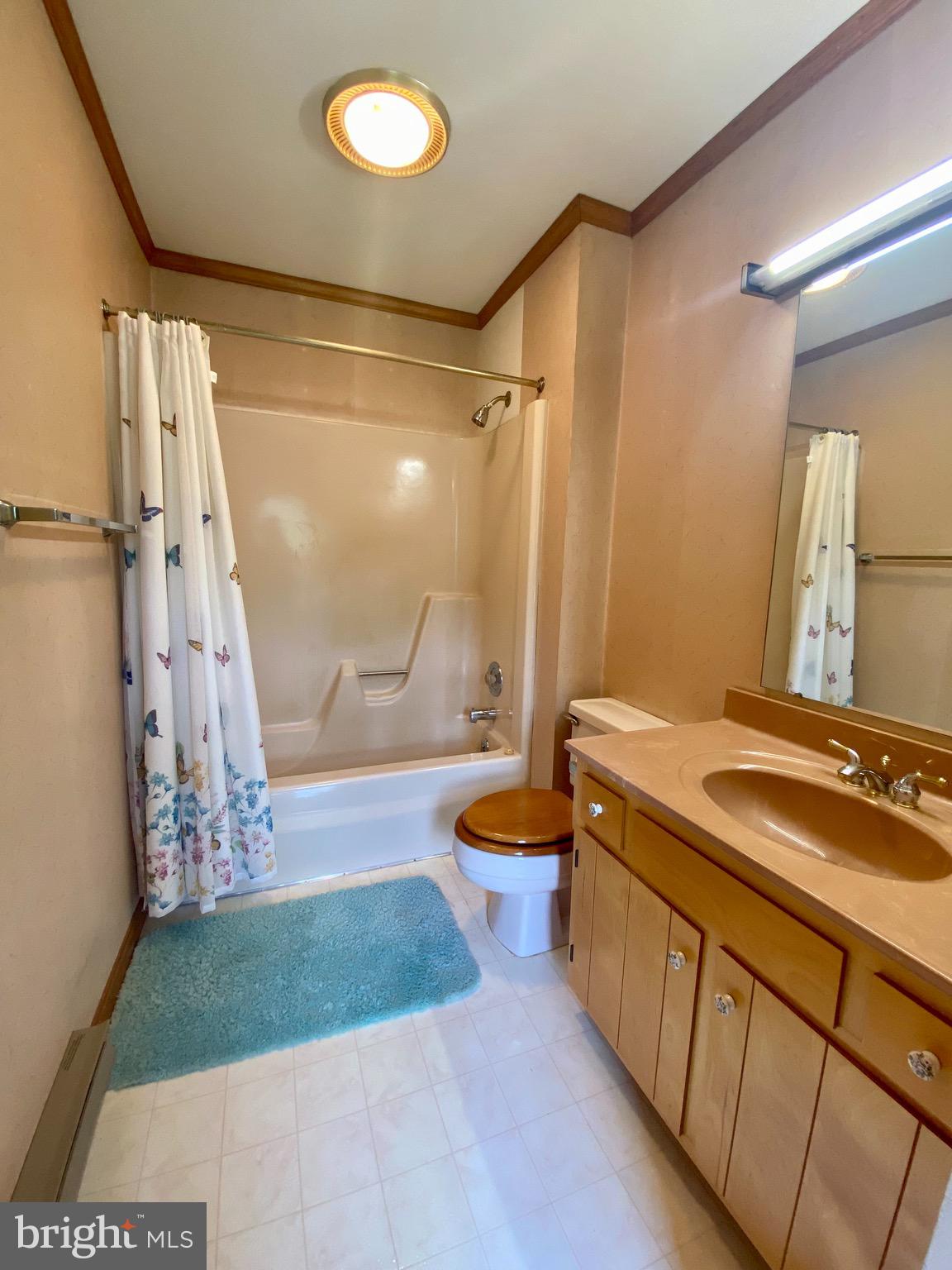 29203 Pond Run Road Westover, MD 21871 - Photo 26 of 42 Upstairs bathroom