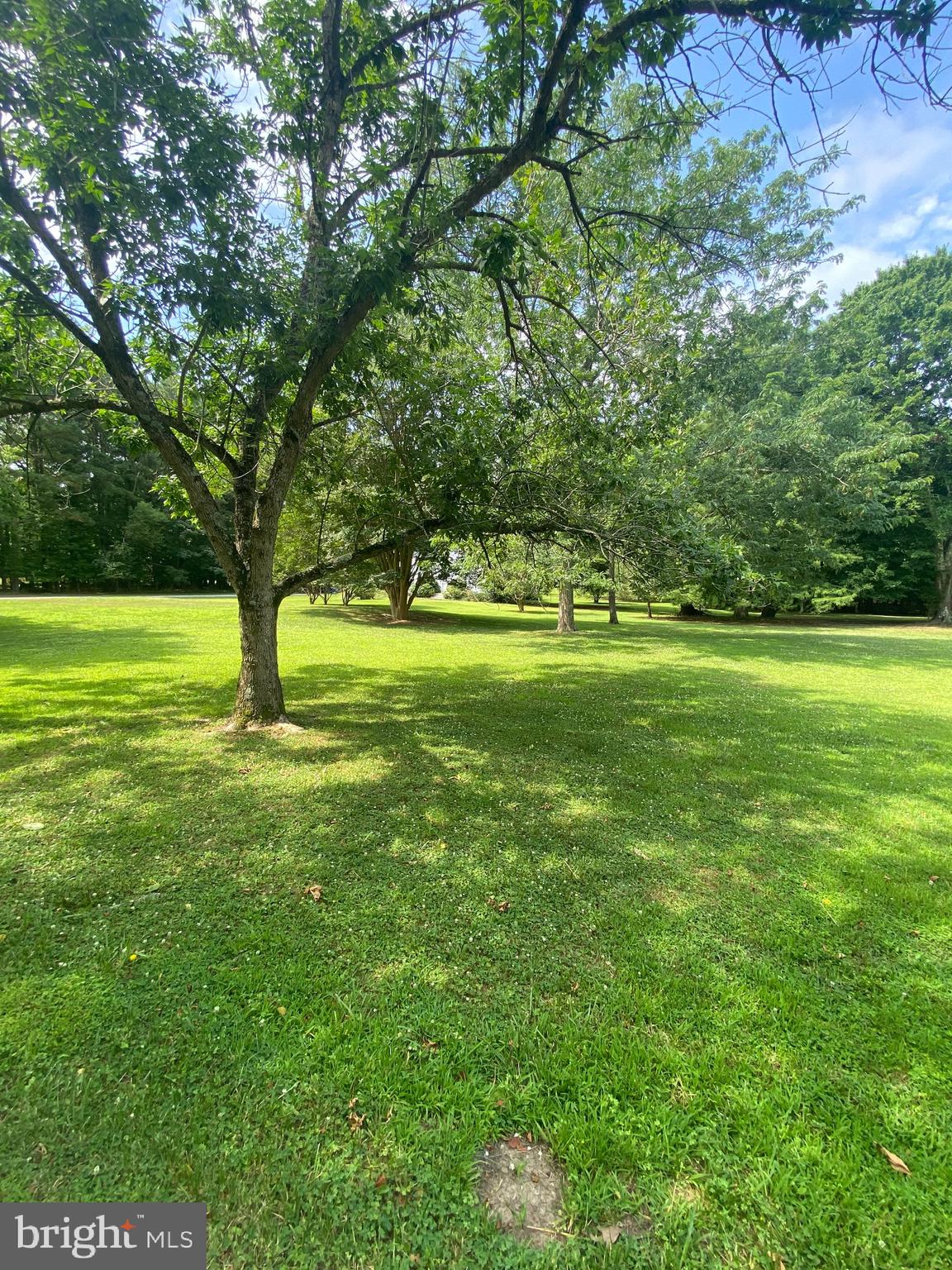 29203 Pond Run Road Westover, MD 21871 - Photo 41 of 42 Gallery Image 41