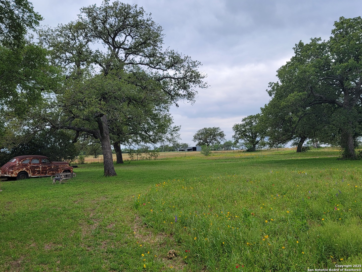 460 Woelke Road Seguin, TX 78155 - Photo 2 of 10