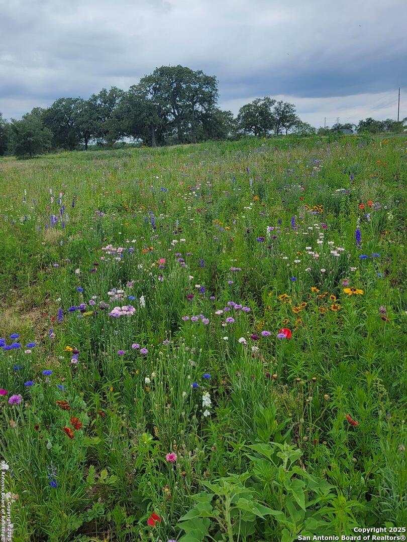 460 Woelke Road Seguin, TX 78155 - Photo 3 of 10