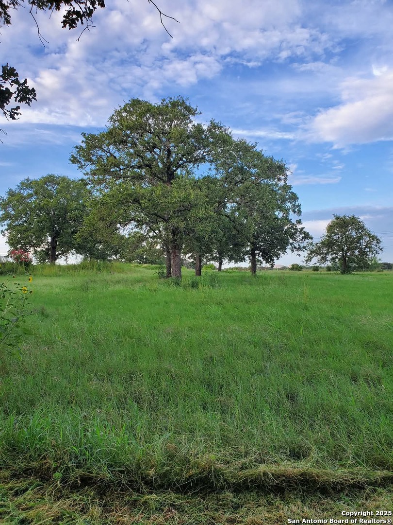 460 Woelke Road Seguin, TX 78155 - Photo 4 of 10