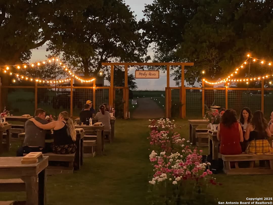 460 Woelke Road Seguin, TX 78155 - Photo 7 of 10