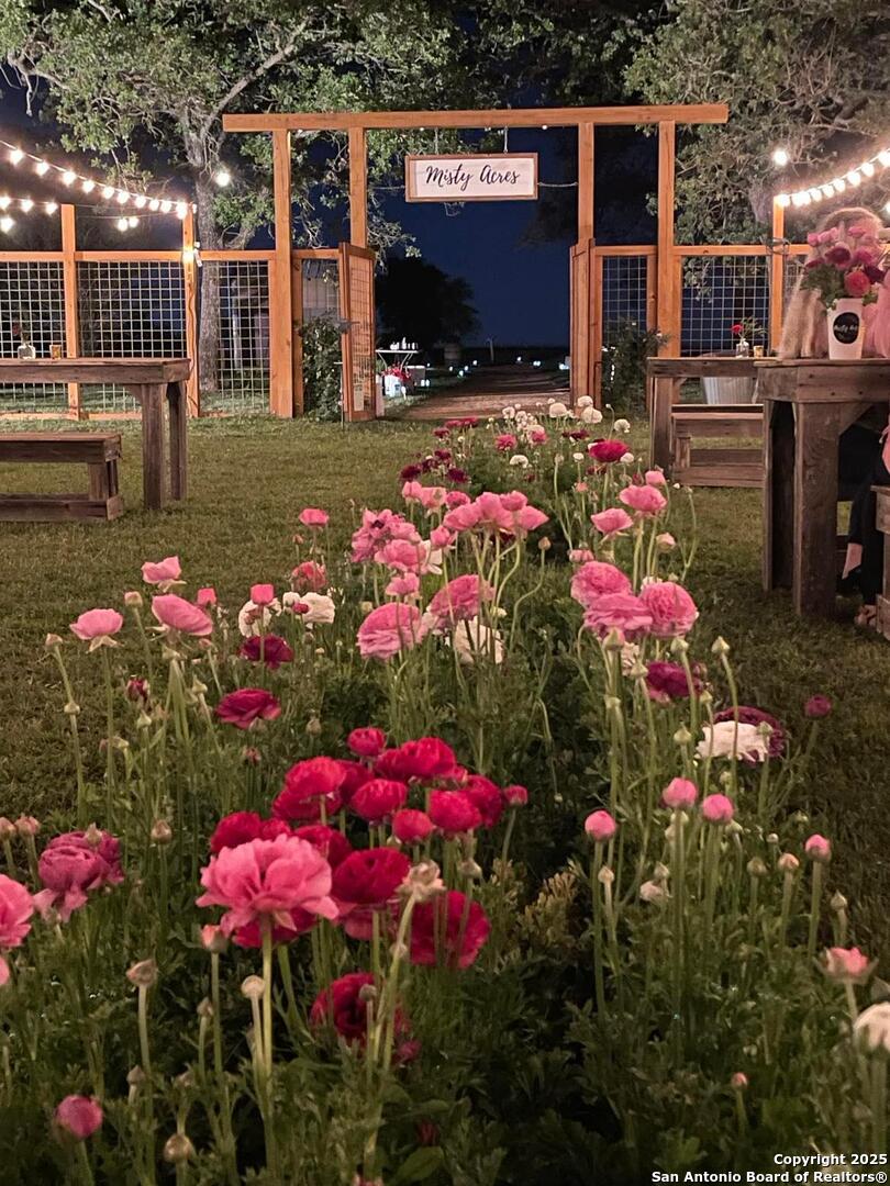 460 Woelke Road Seguin, TX 78155 - Photo 9 of 10