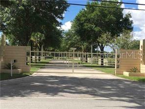 12927 East Wheeler Road Dover, FL 33527 - Photo 1 of 1 Gallery Image 1