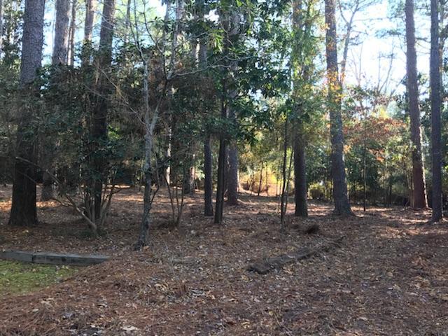 185 Little Road Southern Pines, NC 28387 - Photo 26 of 27 IMG952673