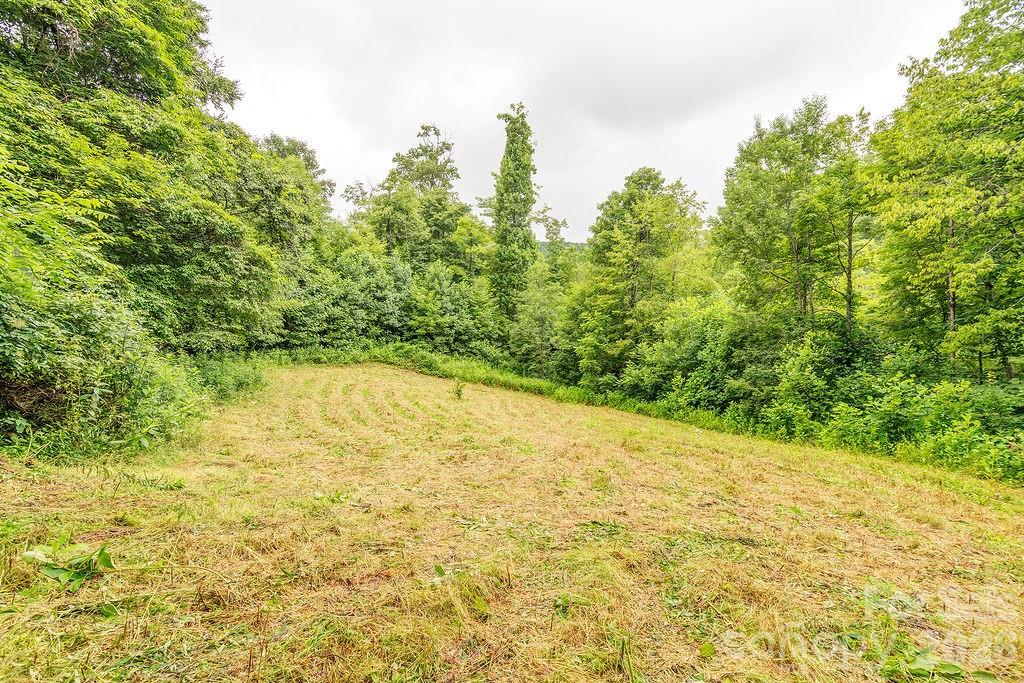 8485 Meadow Fork Road Hot Springs, NC 28743 - Photo 28 of 36 Gallery Image 28