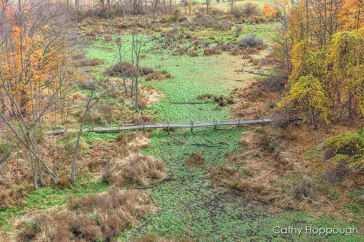 3494 Bradford Road Ionia, MI 48846 - Photo 42 of 45 IMG_1044