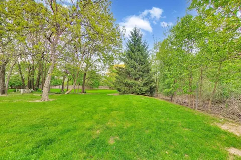 a view of green field with trees in the background