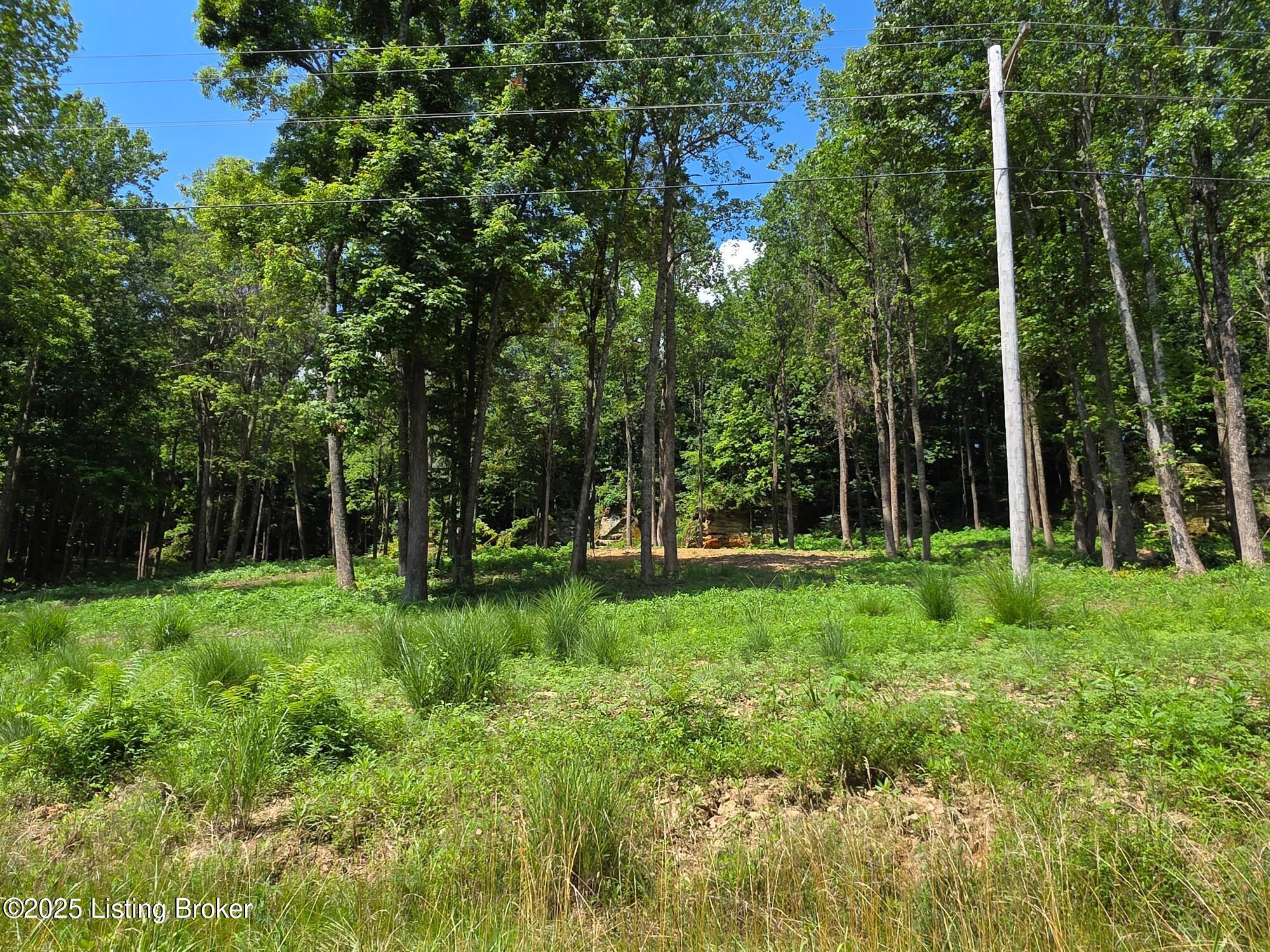 5 Cave Creek Road Falls Of Rough, KY 40119 - Photo 1 of 15 Lot 5 The Cliffs at Cave Creek