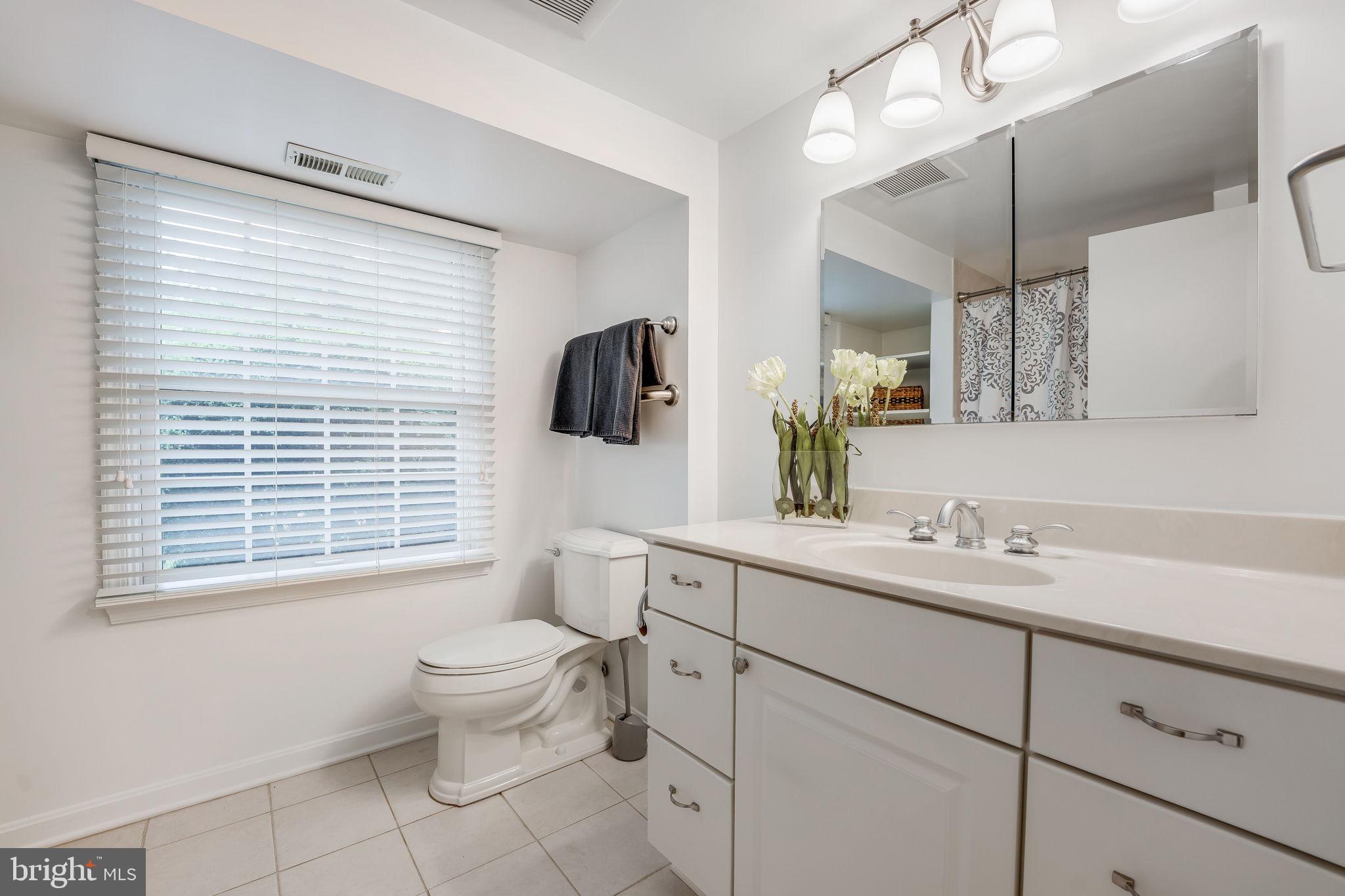 7339 Pinecastle Road Falls Church, VA 22043 - Photo 29 of 44 Lower level bath