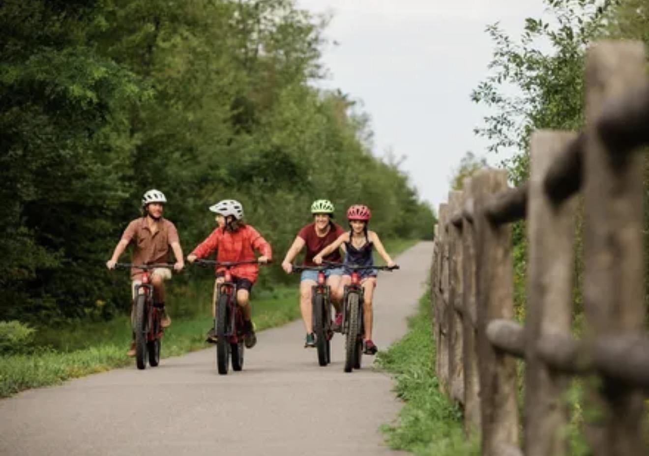 243 Skimobile Road, Unit 153 Conway, NH 03860 - Photo 46 of 53