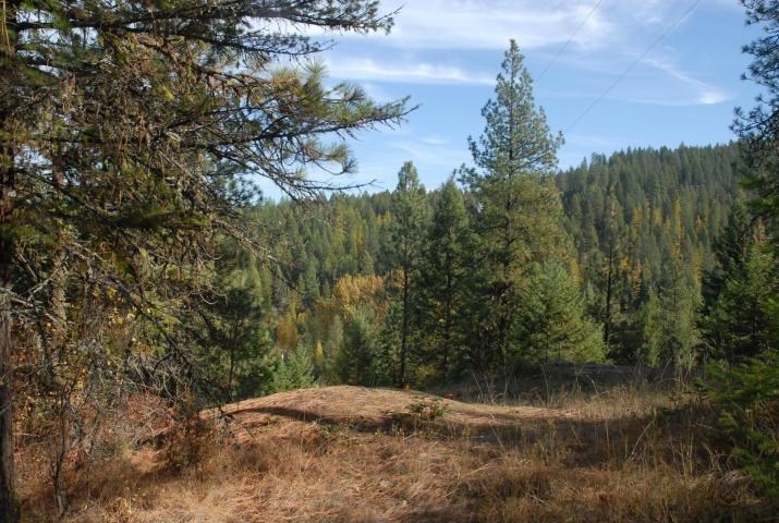 708 L Hoffman Road Kettle Falls, WA 99141 - Photo 1 of 10
