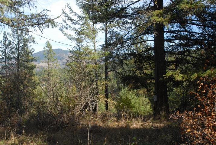 708 L Hoffman Road Kettle Falls, WA 99141 - Photo 2 of 10