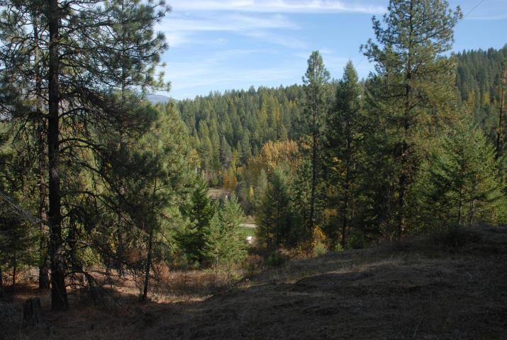 708 L Hoffman Road Kettle Falls, WA 99141 - Photo 3 of 10