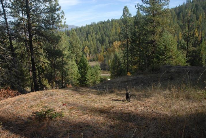 708 L Hoffman Road Kettle Falls, WA 99141 - Photo 4 of 10