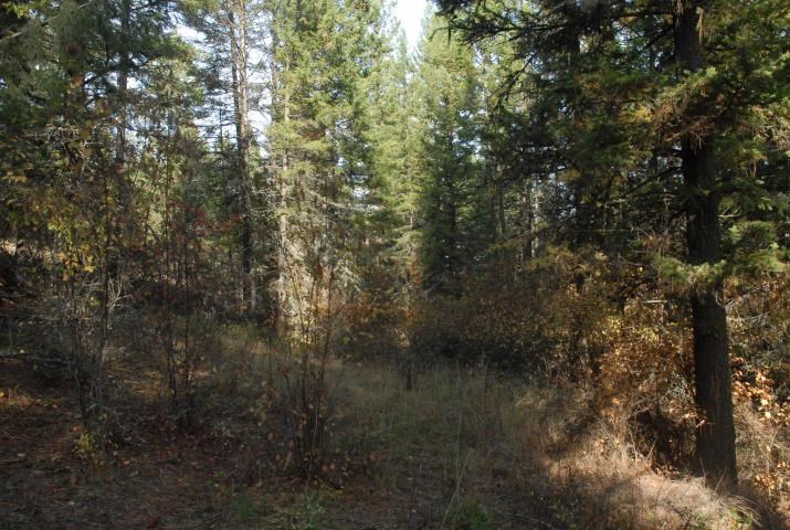 708 L Hoffman Road Kettle Falls, WA 99141 - Photo 6 of 10