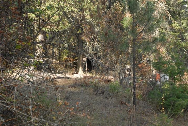 708 L Hoffman Road Kettle Falls, WA 99141 - Photo 8 of 10