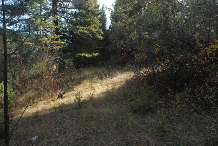 708 L Hoffman Road Kettle Falls, WA 99141 - Photo 9 of 10