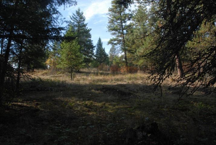 708 L Hoffman Road Kettle Falls, WA 99141 - Photo 10 of 10