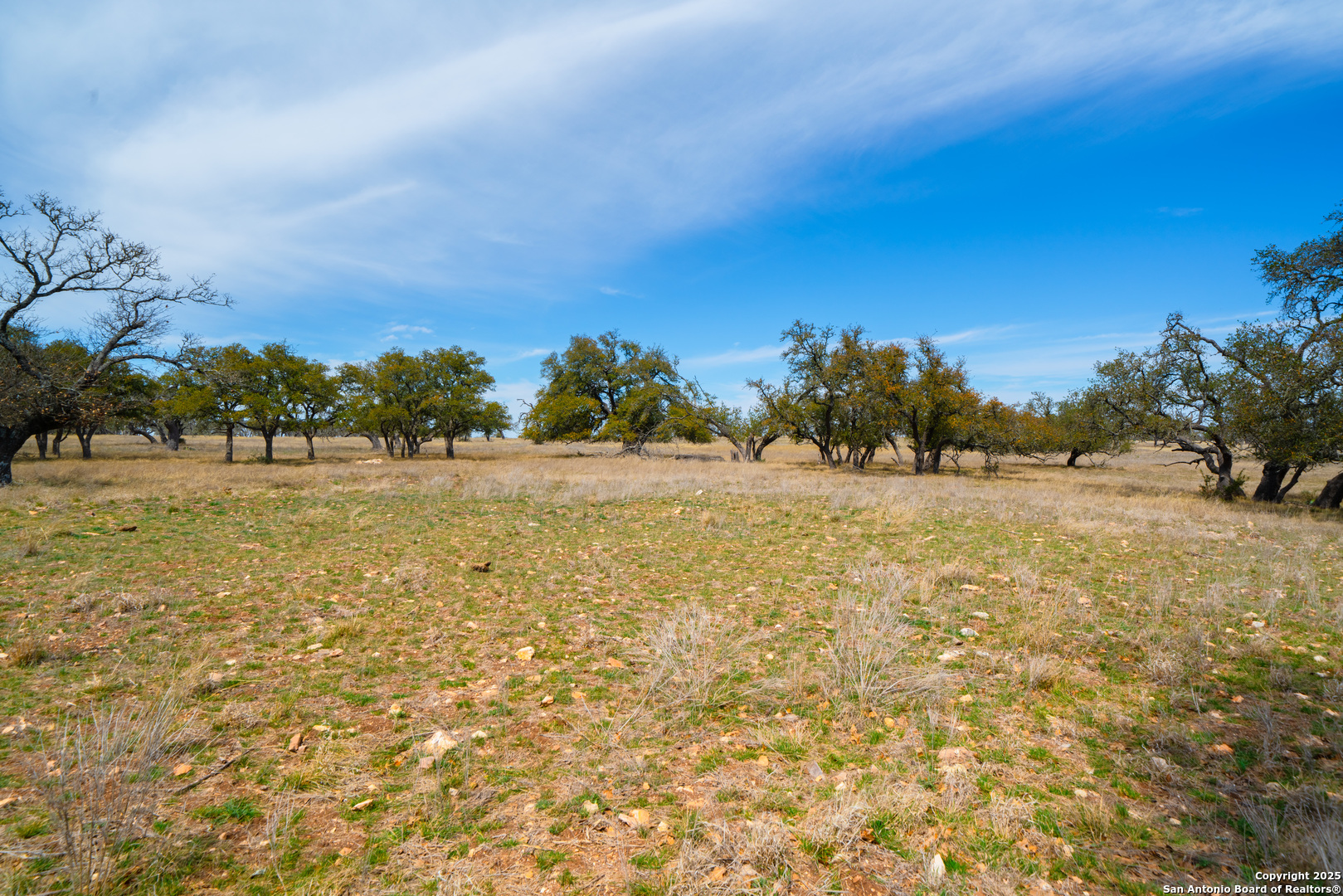 Lot 72 Fallow Drive Harper, TX 78631 - Photo 18 of 31 a view of a field with trees in the background