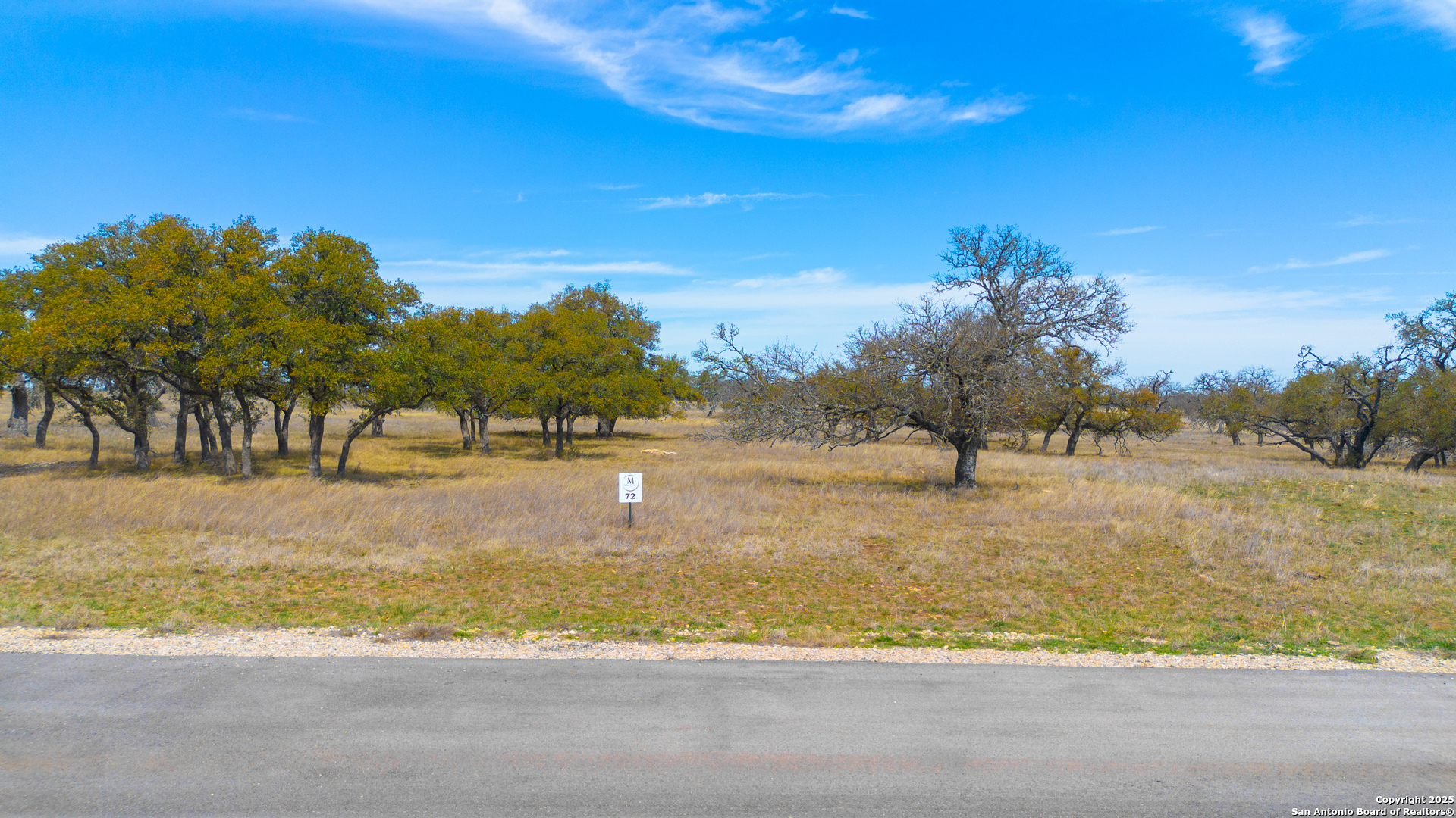 Lot 72 Fallow Drive Harper, TX 78631 - Photo 2 of 31 a view of a yard