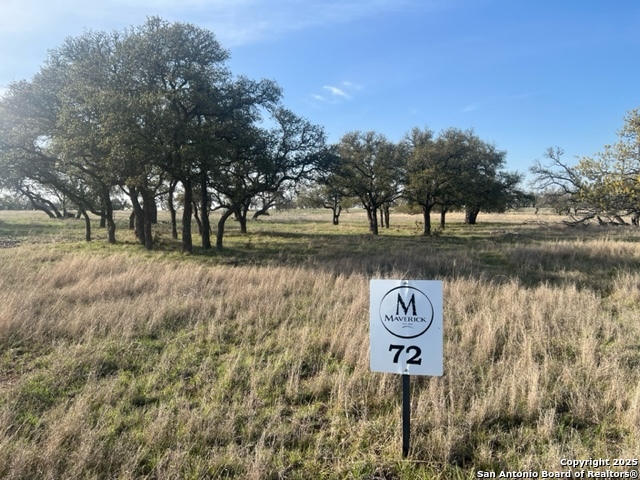 Lot 72 Fallow Drive Harper, TX 78631 - Photo 3 of 31 a view of a park with large trees