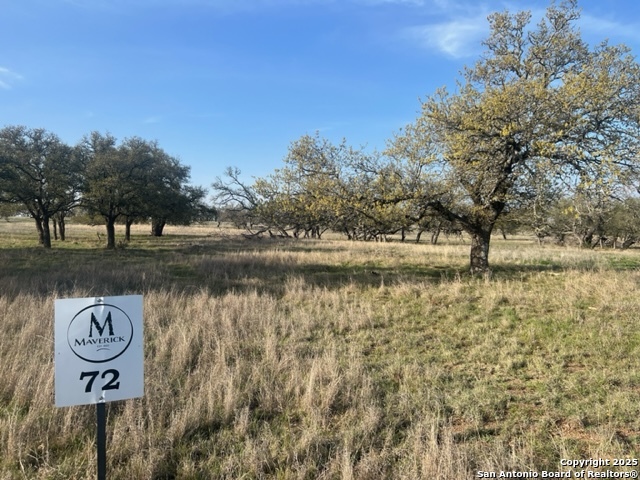 Lot 72 Fallow Drive Harper, TX 78631 - Photo 4 of 31 a view of a street with a building in the background