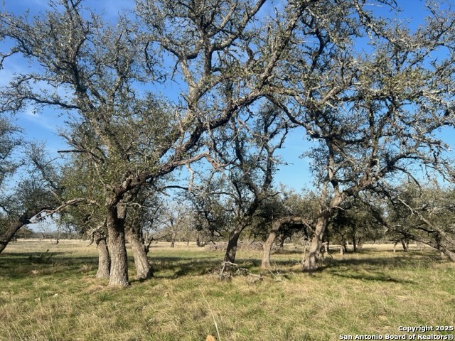 Lot 72 Fallow Drive Harper, TX 78631 - Photo 7 of 31 a view of swimming pool with a yard