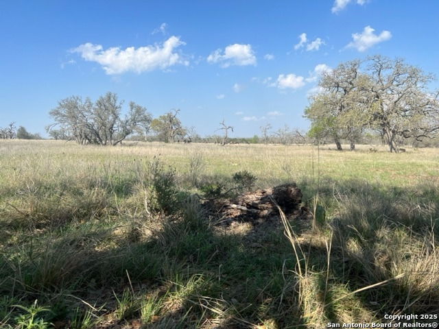 Lot 72 Fallow Drive Harper, TX 78631 - Photo 8 of 31