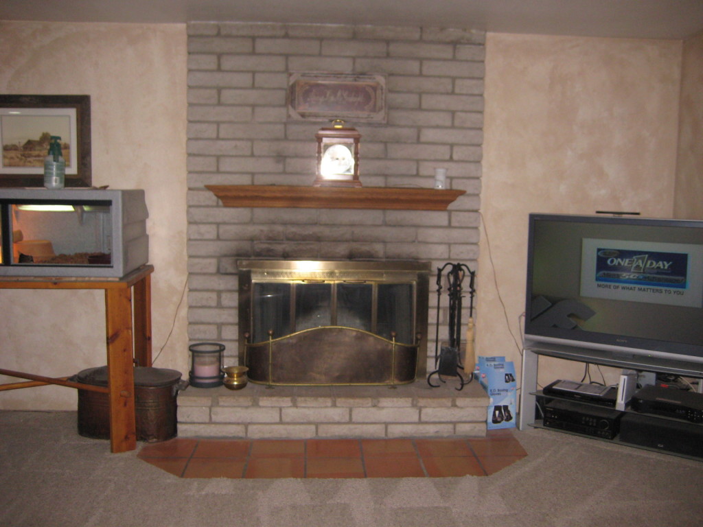 2826 East Campbell Road Gilbert, AZ 85234 - Photo 8 of 12 Fireplace