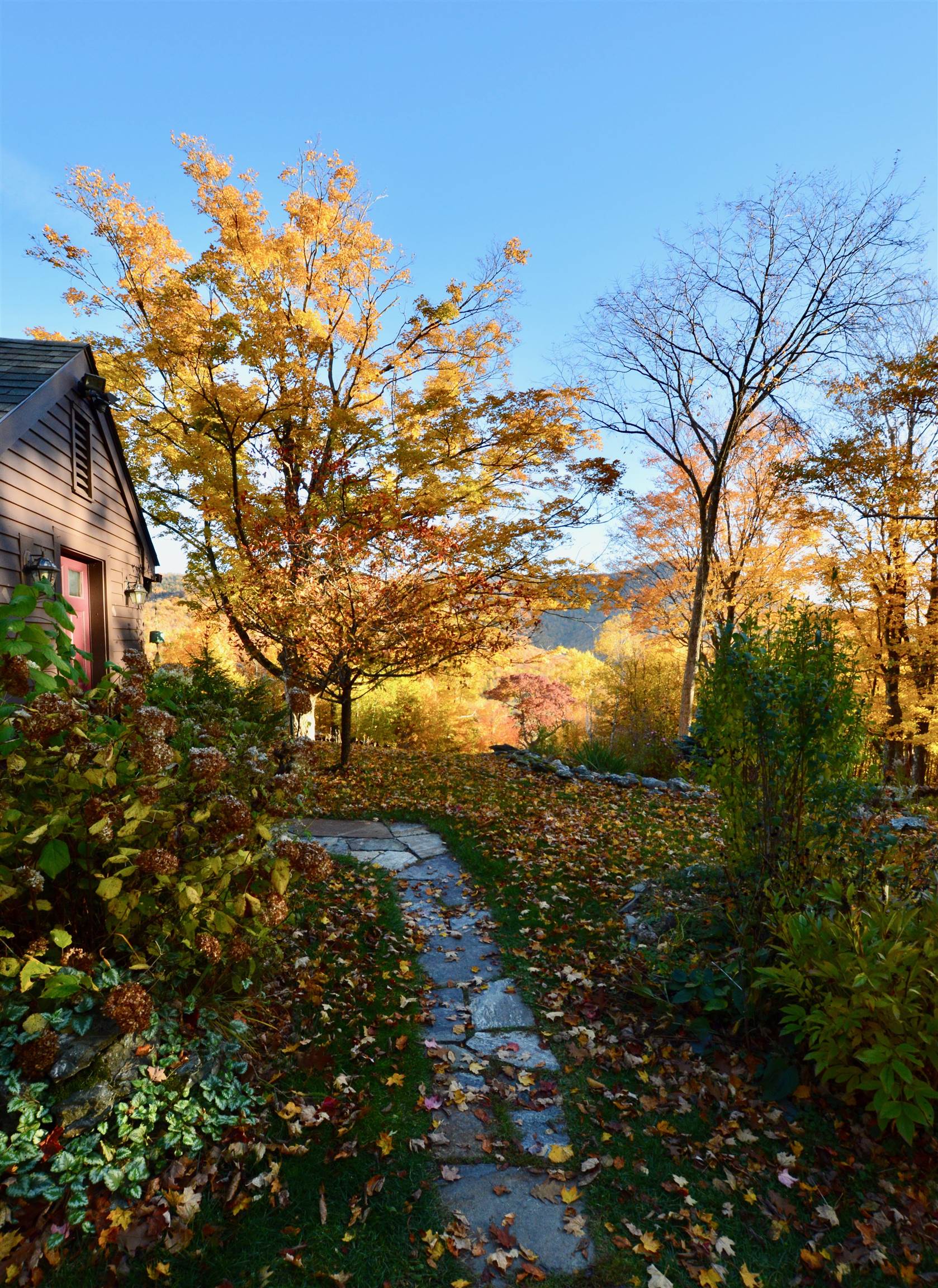 592 Antone Mountain View Road Rupert, VT 05761 - Photo 33 of 40 Gallery Image 33