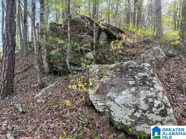 707 Sequoyah Road, Unit 1 Pell City, AL 35128 - Photo 10 of 18