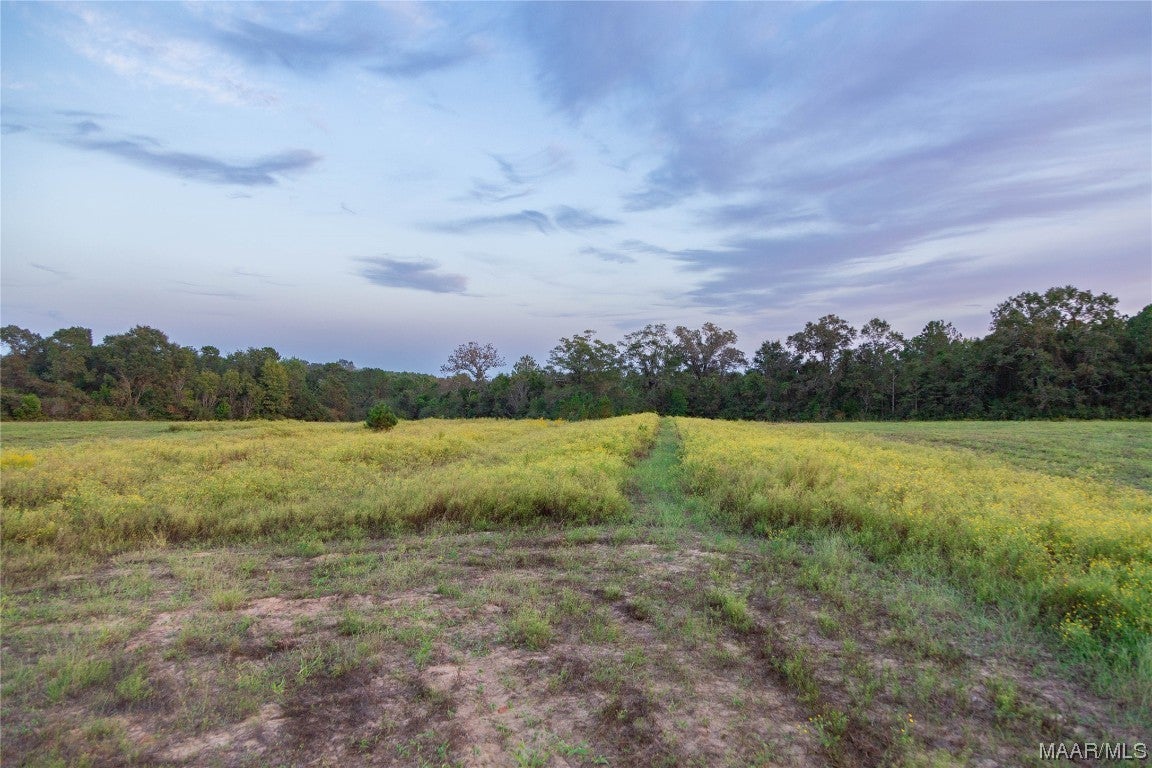 337 County Road 337 Brantley, AL 36009 - Photo 21 of 36 Gallery Image 21
