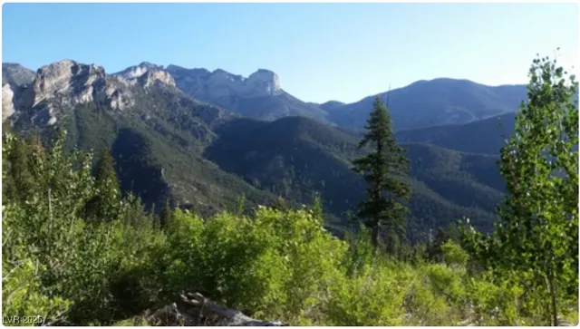 $2,650,000 | 4096 Tyrol Way, Mount Charleston, NV 89124