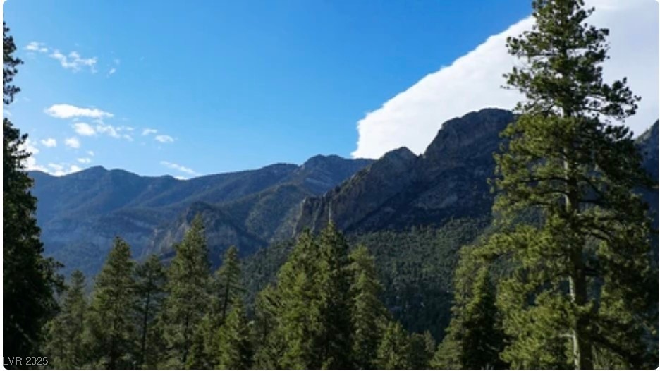 4096 Tyrol Way Mount Charleston, NV 89124 - Photo 31 of 50 Lush evergreen forests blanket the mountainsides providing year-round outdoor activities. Explore nearby trails like North Loop Trail and Mummy Spring, or enjoy mountain biking through pristine wilderness areas.