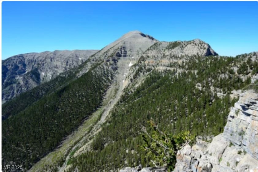 4096 Tyrol Way Mount Charleston, NV 89124 - Photo 37 of 50 Granite cliffs and verdant pine forests create stunning natural contrasts. This landscape is home to diverse wildlife and provides access to trails ranging from easy family walks to challenging backcountry adventures.