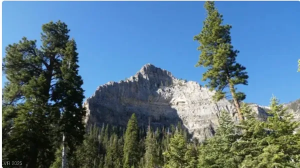 $2,650,000 | 4096 Tyrol Way, Mount Charleston, NV 89124