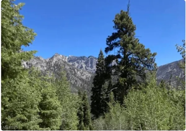 $2,650,000 | 4096 Tyrol Way, Mount Charleston, NV 89124