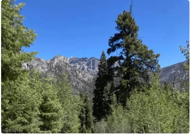 $2,650,000 | 4096 Tyrol Way, Mount Charleston, NV 89124