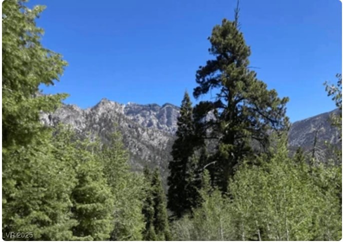 4096 Tyrol Way Mount Charleston, NV 89124 - Photo 44 of 50 Sun-dappled forest trails weave through groves of ancient pines beneath soaring peaks. This mountain paradise offers endless hiking opportunities including the popular Bristlecone Loop and Raintree Trail adventures.