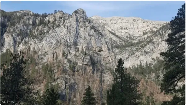 $2,650,000 | 4096 Tyrol Way, Mount Charleston, NV 89124