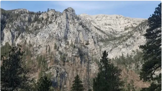 $2,650,000 | 4096 Tyrol Way, Mount Charleston, NV 89124