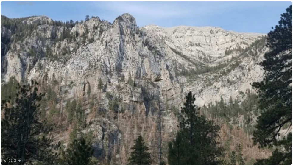 4096 Tyrol Way Mount Charleston, NV 89124 - Photo 45 of 50 Dramatic limestone escarpments showcase the raw geological beauty perfect for outdoor exploration. These striking rock faces stand as monuments to nature, accessible via numerous hiking trails throughout the Spring Mountains.