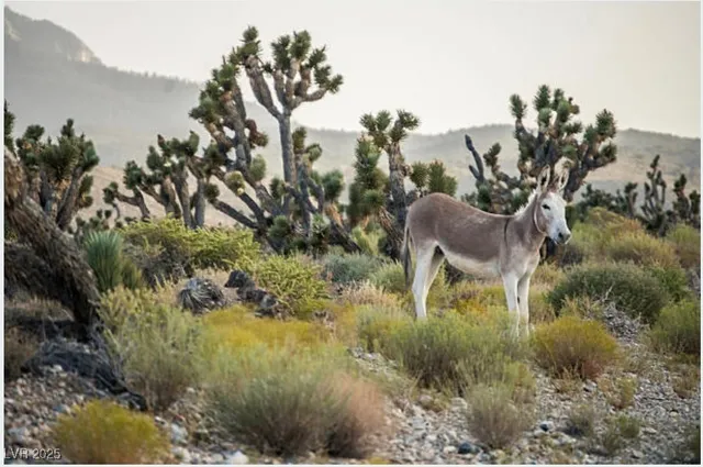 $2,650,000 | 4096 Tyrol Way, Mount Charleston, NV 89124