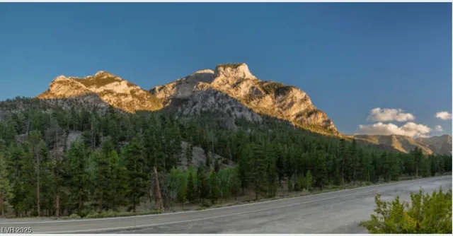 $2,650,000 | 4096 Tyrol Way, Mount Charleston, NV 89124