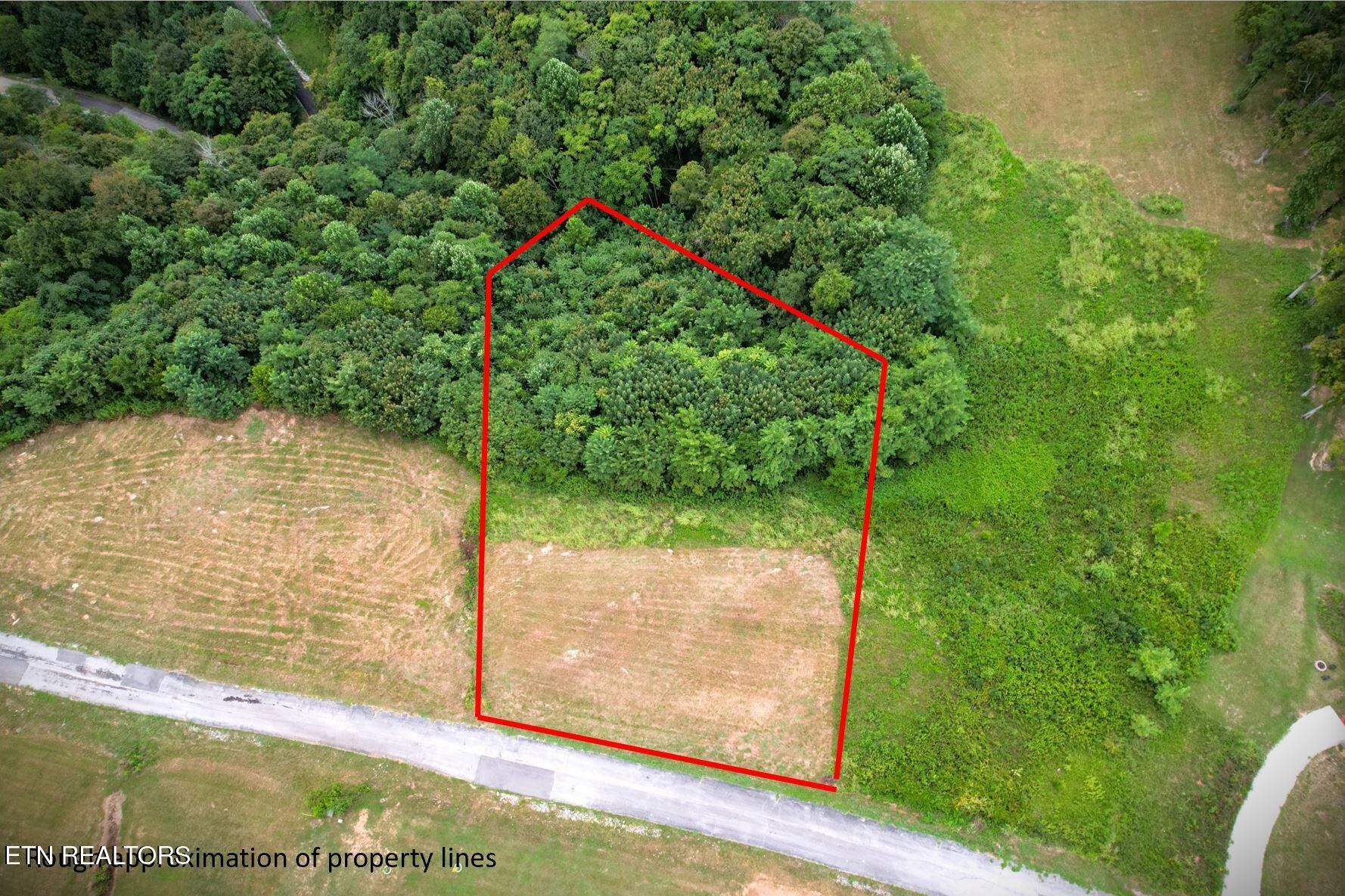 30 Bass Road Celina, TN 38551 - Photo 3 of 23 a view of a backyard of the house